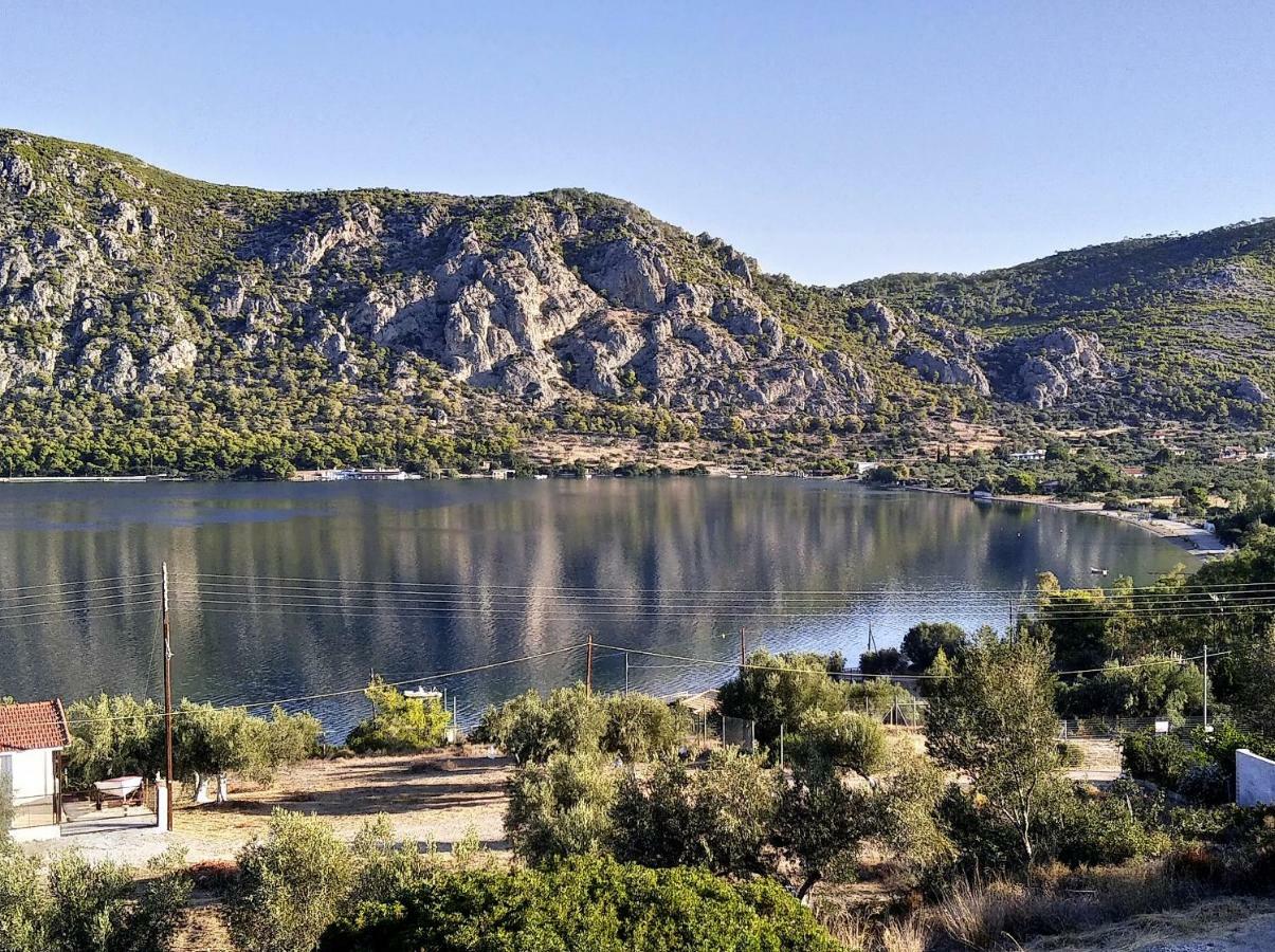 Lagoon Dreamhouse Hồ Vouliagmeni Ngoại thất bức ảnh